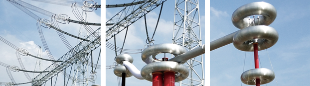 KAIYUN基因治療流程