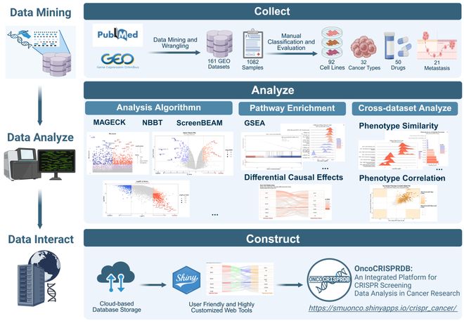 腫瘤CRISPRScreen在線平臺(tái)！重磅推薦！(圖3)
